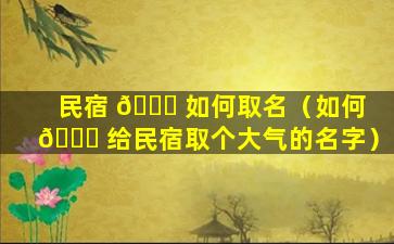 民宿 🐟 如何取名（如何 🐟 给民宿取个大气的名字）